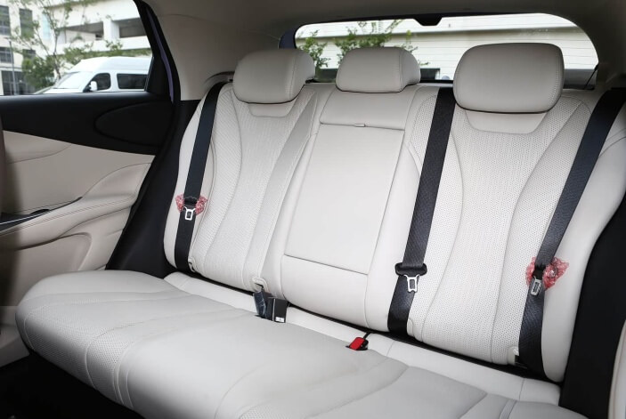 BYD Dolphin-12